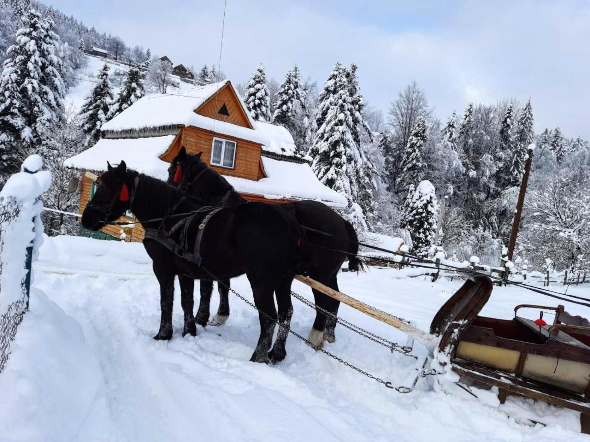 Cottage "Kliverent" Яремча Экстерьер фото