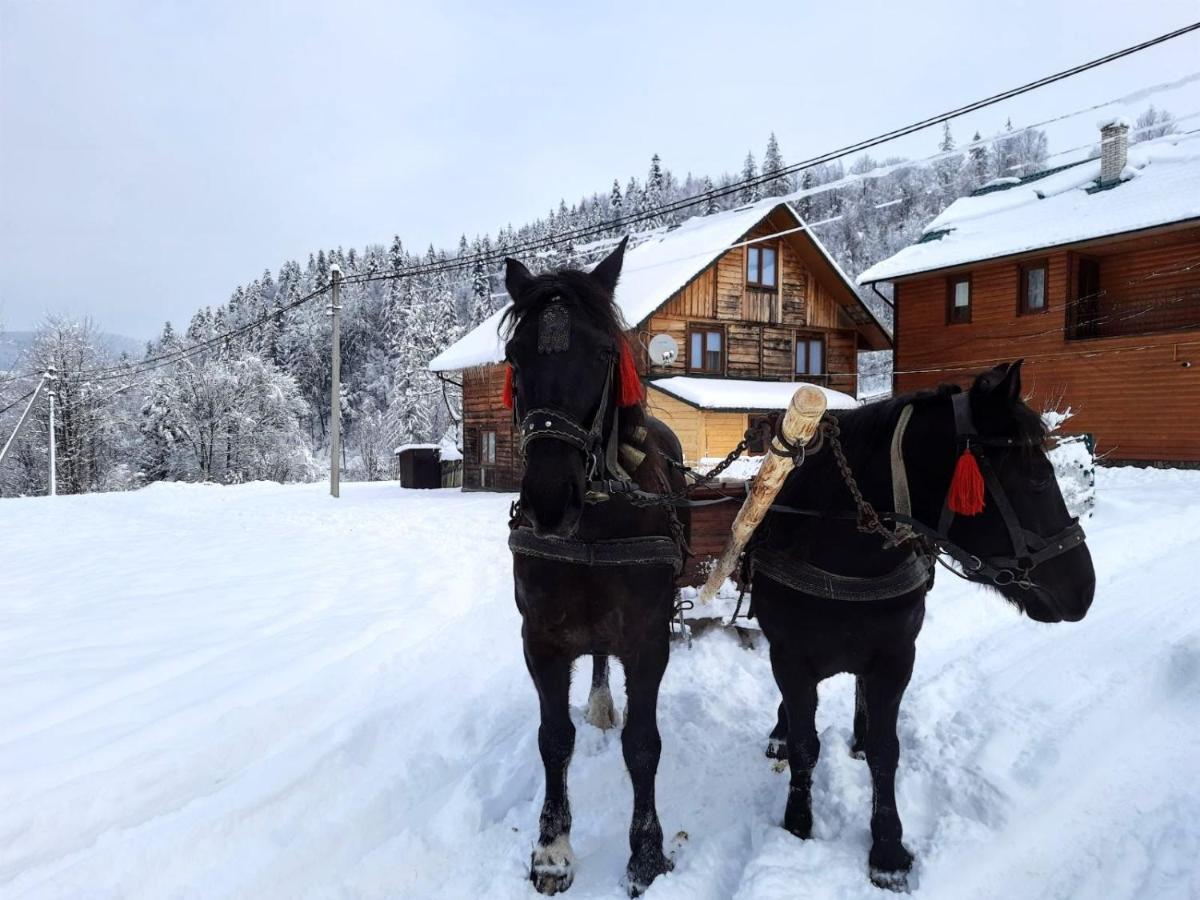 Cottage "Kliverent" Яремча Экстерьер фото